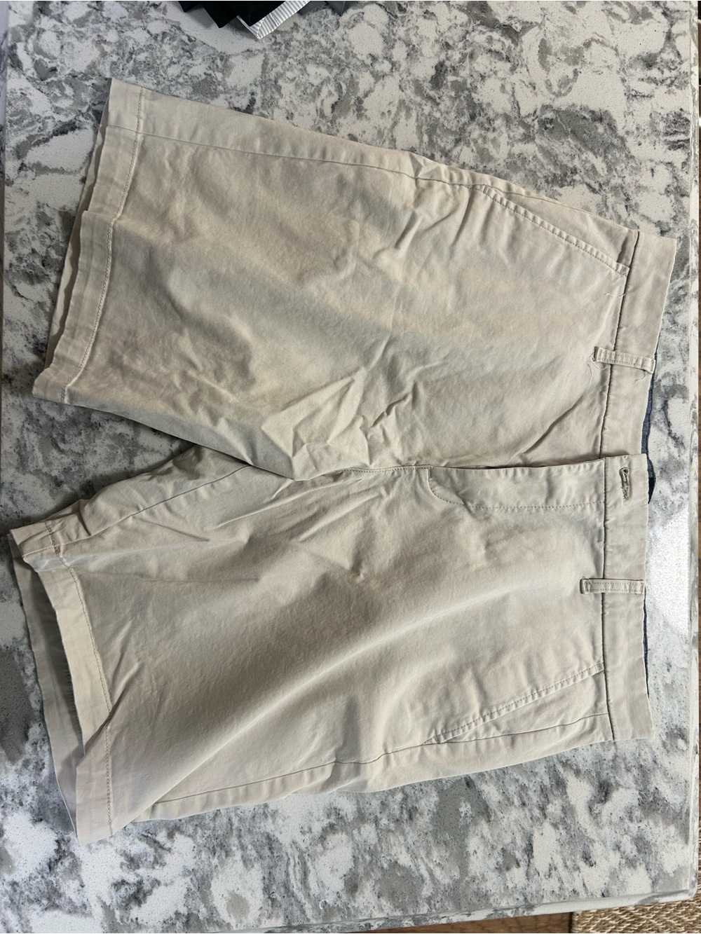 GAP Men's Flat Front Khaki Shorts